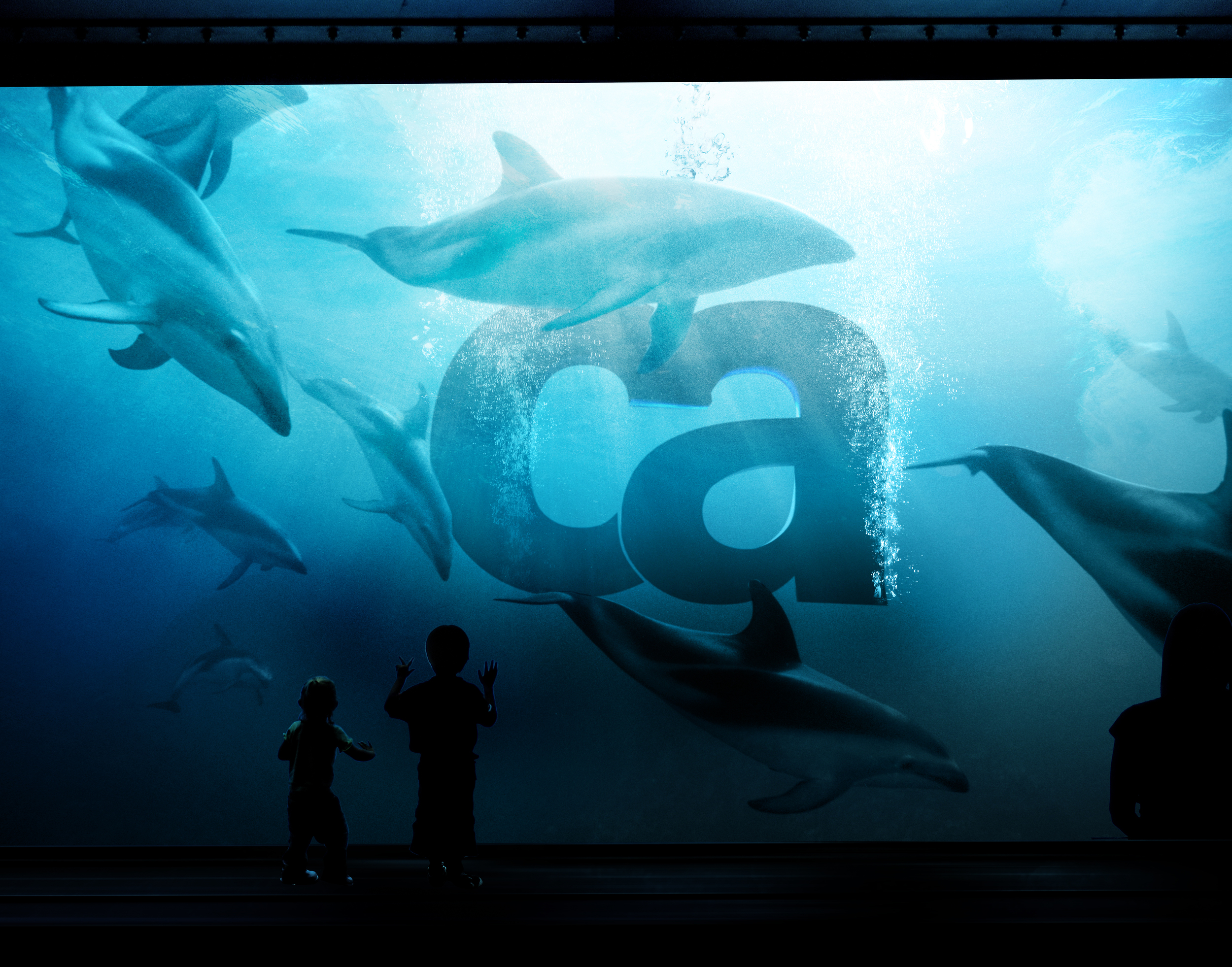 CA At the Center — SeaWorld